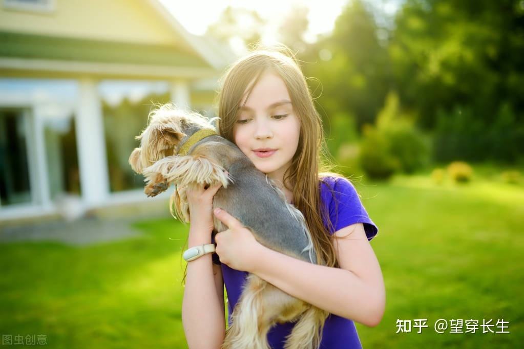 [惊艳的名字知乎]有哪些让你感觉惊艳的名字?知乎