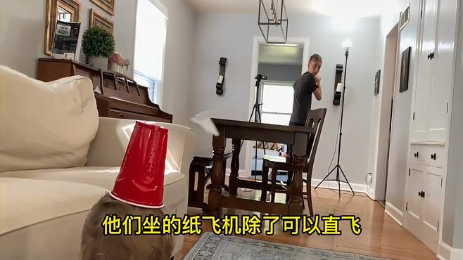 [纸飞机群组进不去]纸飞机无法显示群组怎么办呢