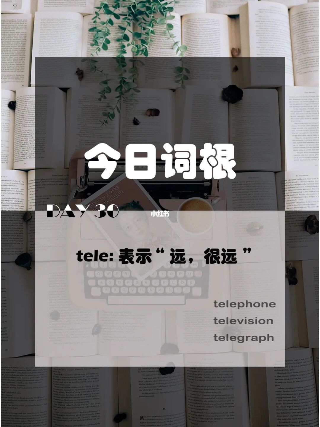 关于tele是词根还是词缀的信息