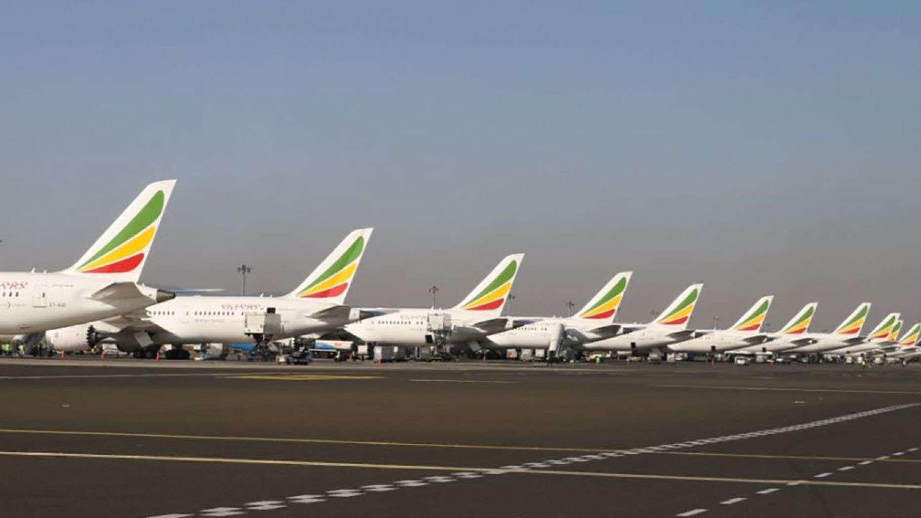 [埃塞航空坠机事故]埃塞空难中国遇难者名单