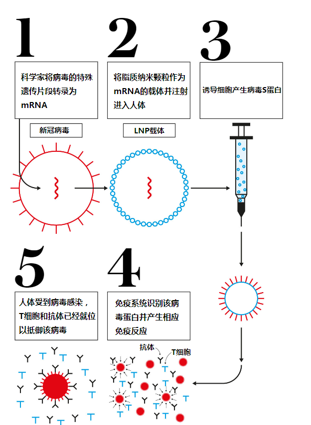 [telegraph前缀]telegraph前缀词根词缀