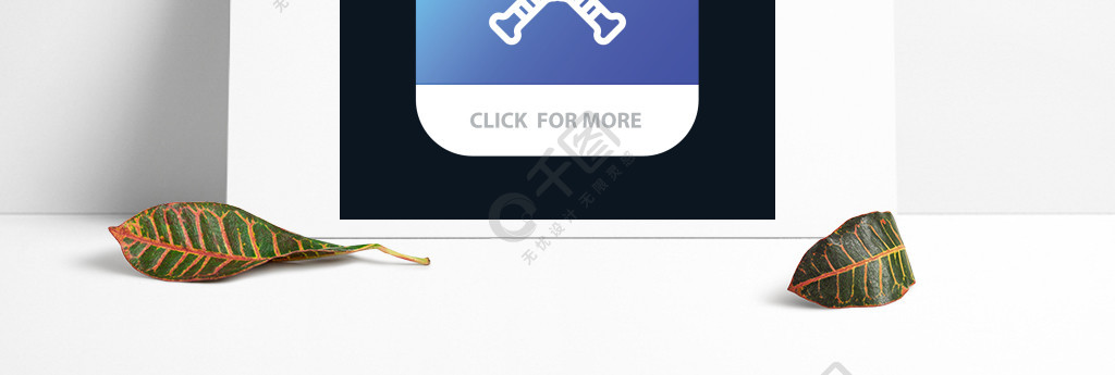 蝙蝠ios安装包-蝙蝠appios下载