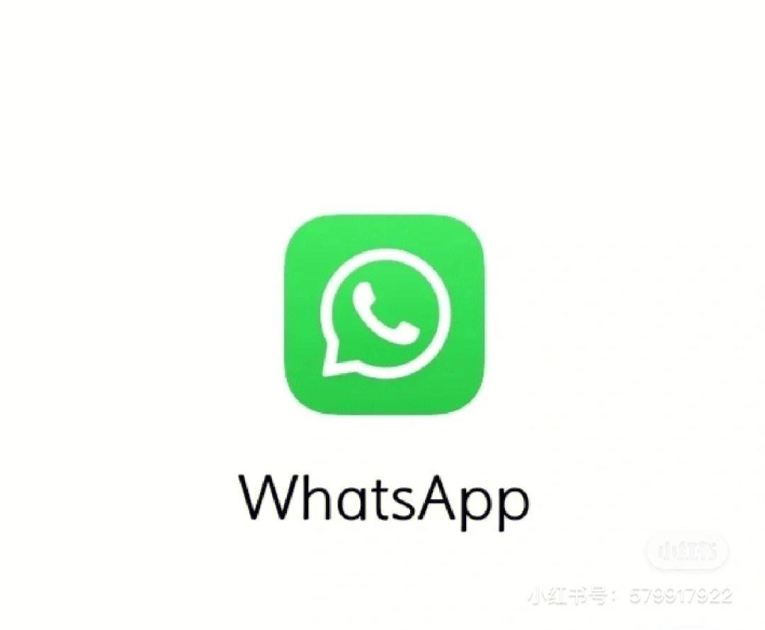 whatsapp官方下载-whatsapp官方下载免费