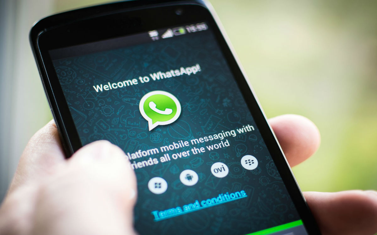 免费下载whatsapp最新版本-whatsapp_whatsapp全版本下载安装