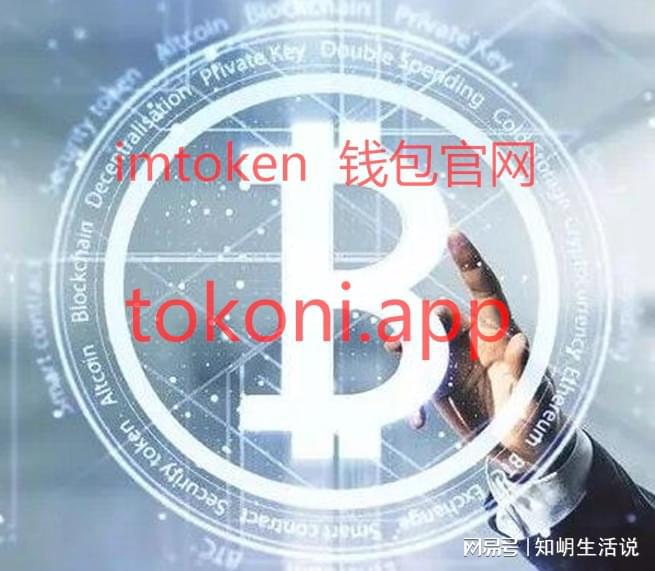 imtoken-最新imtoken苹果版