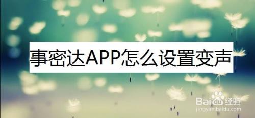事密达下载到手机-事密达113版本