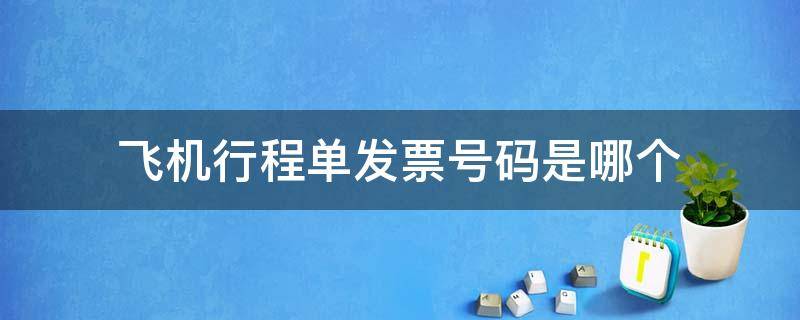国内手机号怎么注册飞机账户-国内手机号怎么注册飞机账户的