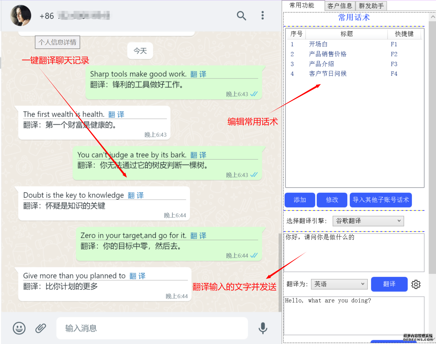 whatsapp英文怎么翻译成中文-whatsapp怎么直接在软件中译英