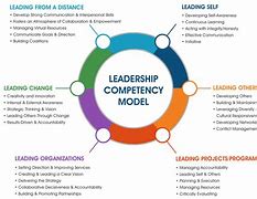 competence-oriented-competenceoriented翻译
