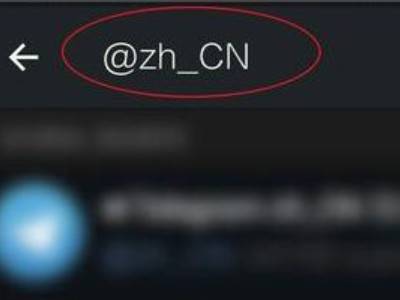 苹果飞机怎么设置成中文-苹果飞机怎么设置成中文版