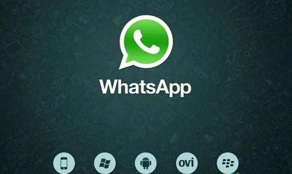 whatsapp不能下载文件-whatsapp不能下载怎么办