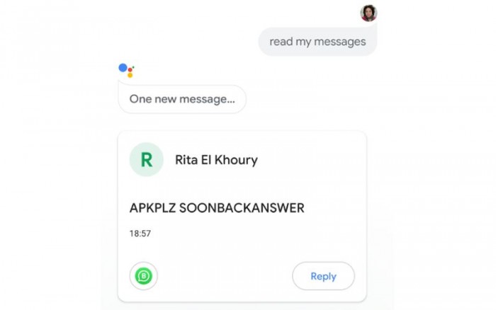 whatsapp中文叫什么-what's app 安卓版下载