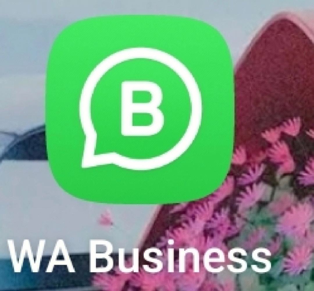 包含WhatsApp官网入口下寨的词条