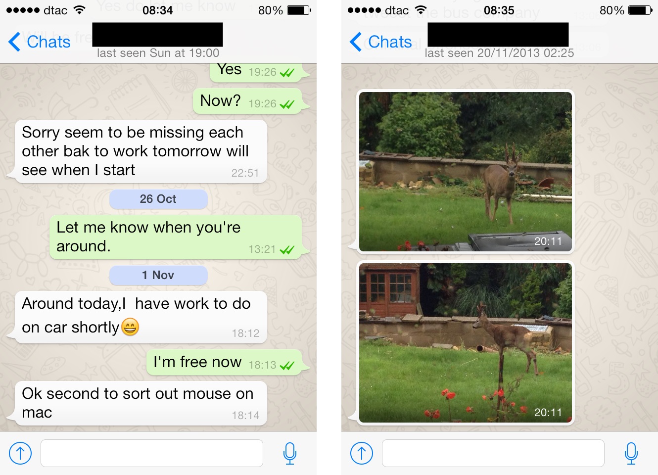 whatsapp哪个国家用-whatsapp在哪些国家比较受欢迎