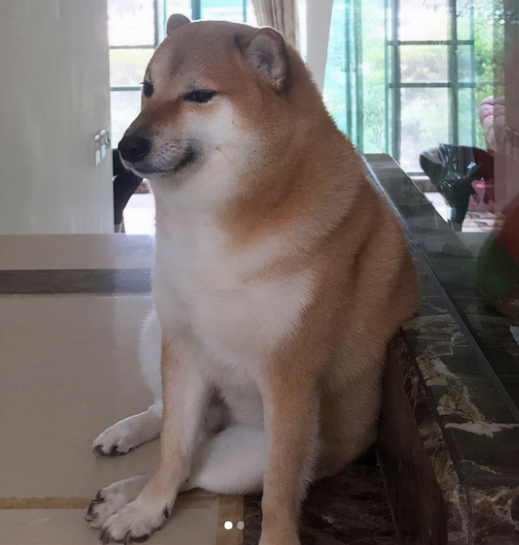 doge-dodge车型及价格