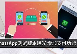 whatsapp安卓版官网下载手机端的简单介绍