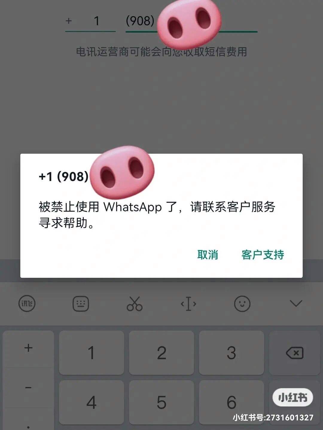 whatsapp下载不能用-whatsapp下载不了怎么办