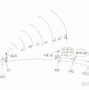 电报员猴哥配音-电报猴原视频无消音