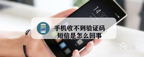 纸飞机收不到验证短信怎么办-为什么纸飞机搜索不到@zh_cn