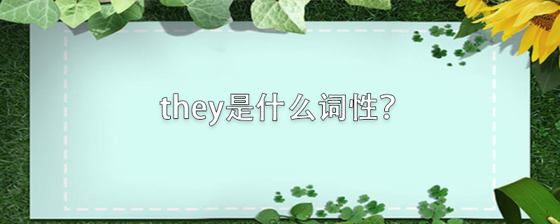 decisions是什么词性-decision的意思是什么意思