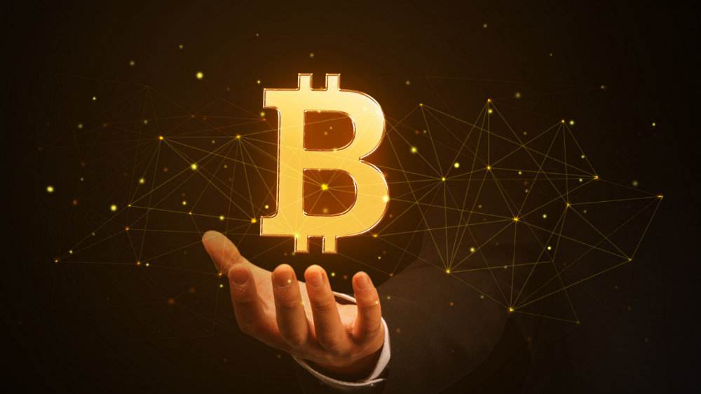 mytokencap官网行情-mytokennews官网下载