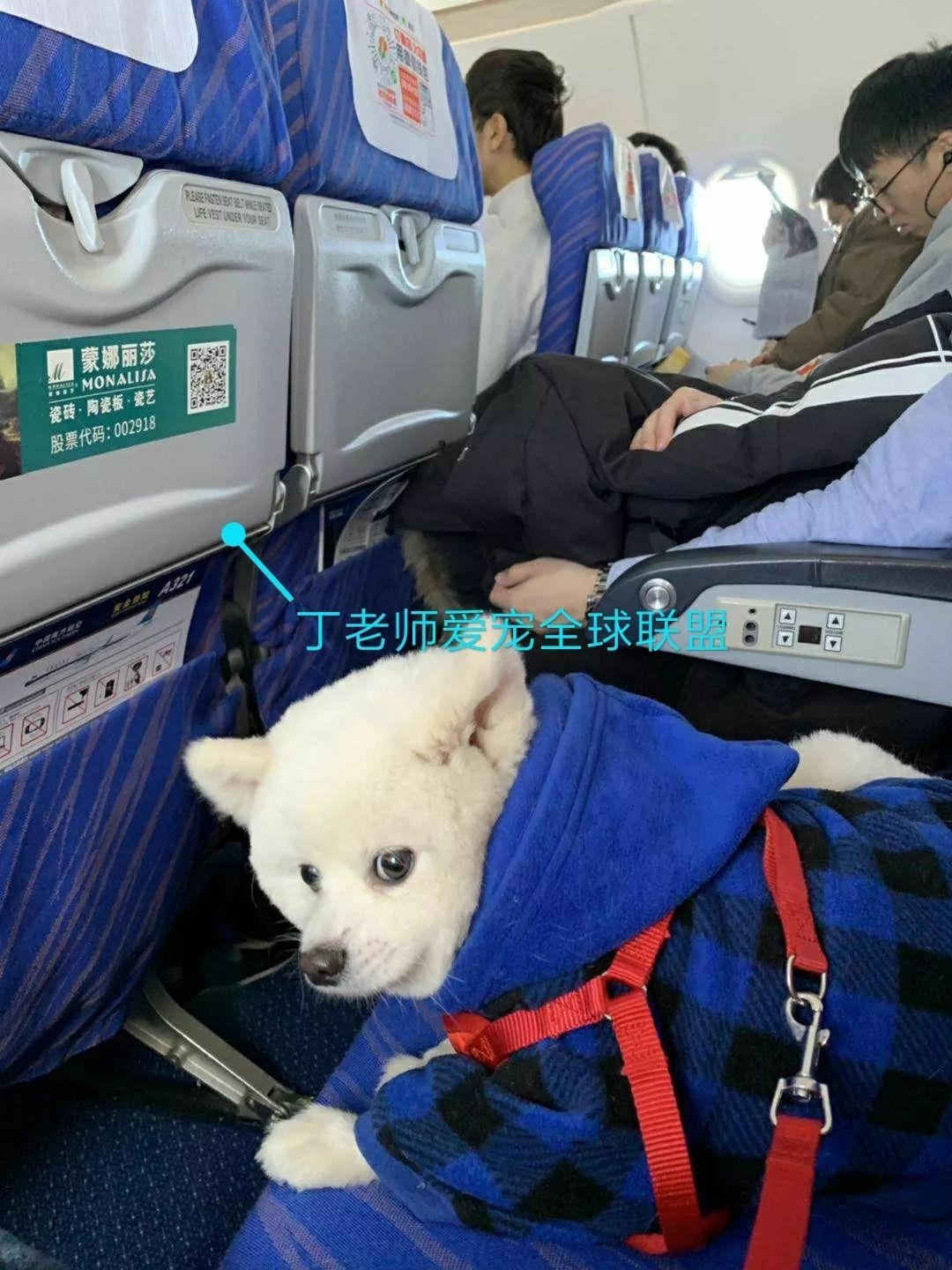 飞机注册收不到短信-飞机聊天软件收不到验证码
