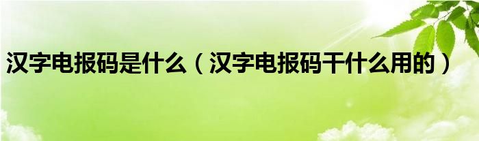 电报码怎么用-电报码在线转换