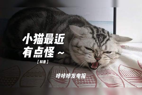 耳朵能听见类似打电报的声音-耳朵能听见电磁声音是什么情况