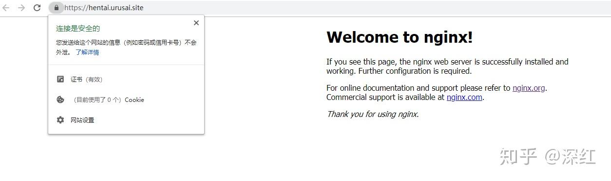 Telegram入口地址-telegraph官网入口