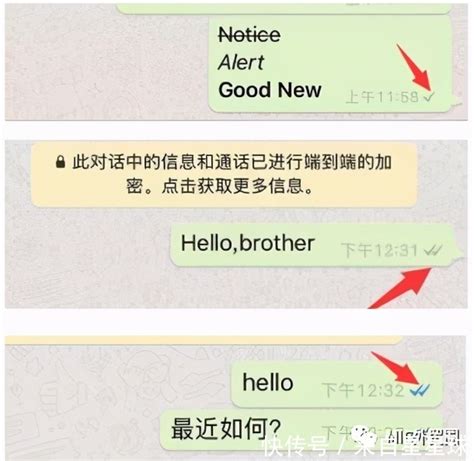 whatsapp大陆能用吗-whatsapp在大陆可以用吗