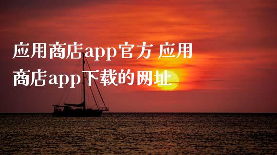 应用商店app下载安装最新版-应用商店app下载安装最新版本