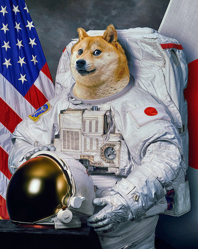 doge-doge网络语什么意思