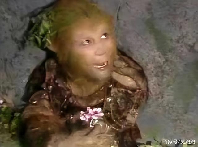 悟空电报员原视频-电报猴去掉电报特效原视频