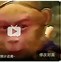 花果山电报员骂人-花果山电报猿完整版