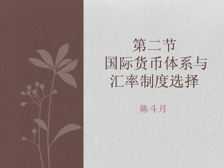 无单独法定货币制度-无单独法定货币是什么意思
