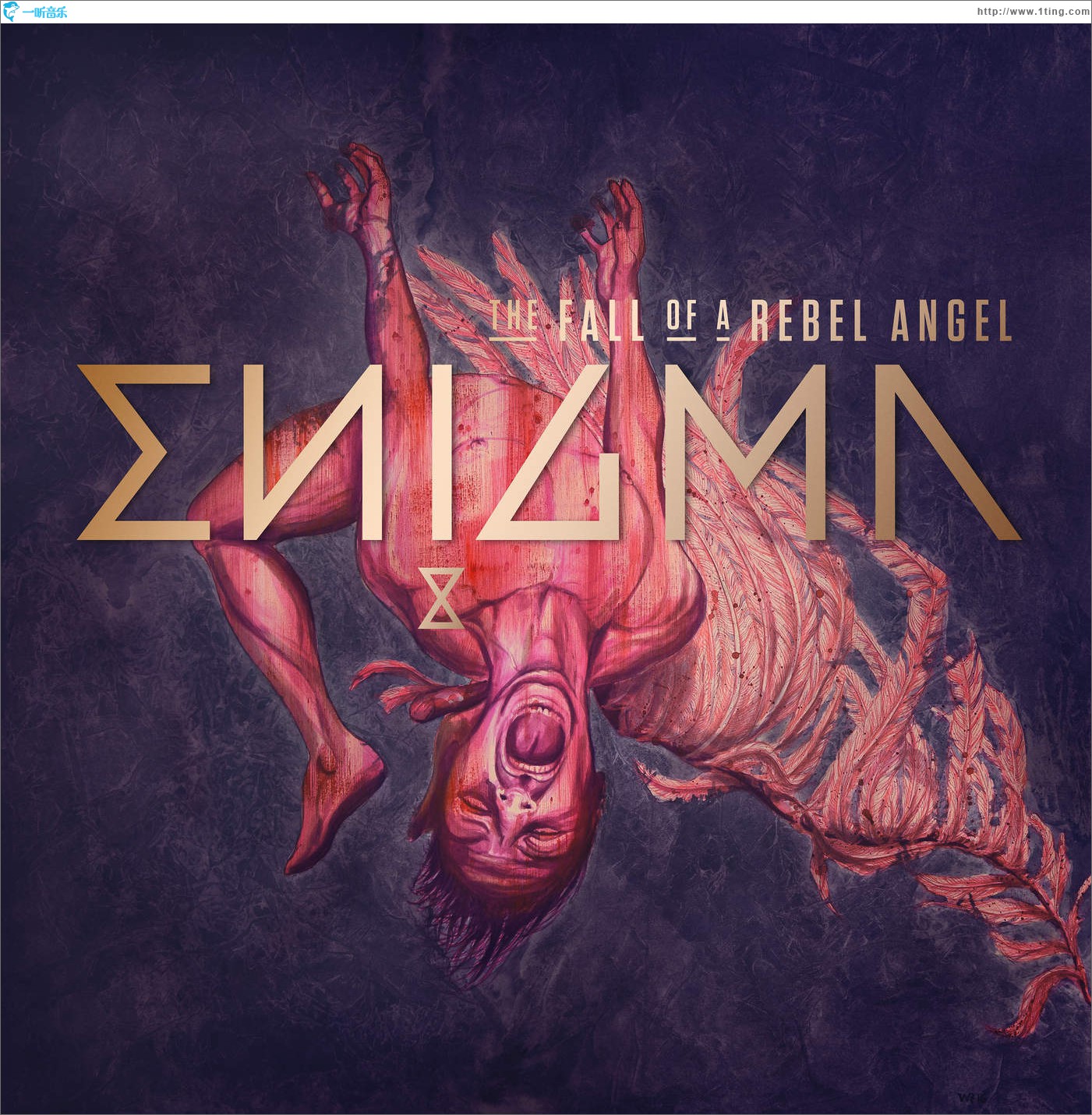 enigma.im软件下载-enigmaim软件官方下载