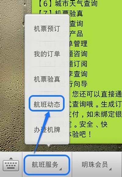 飞机软件如何调中文版-飞机软件如何调中文版的