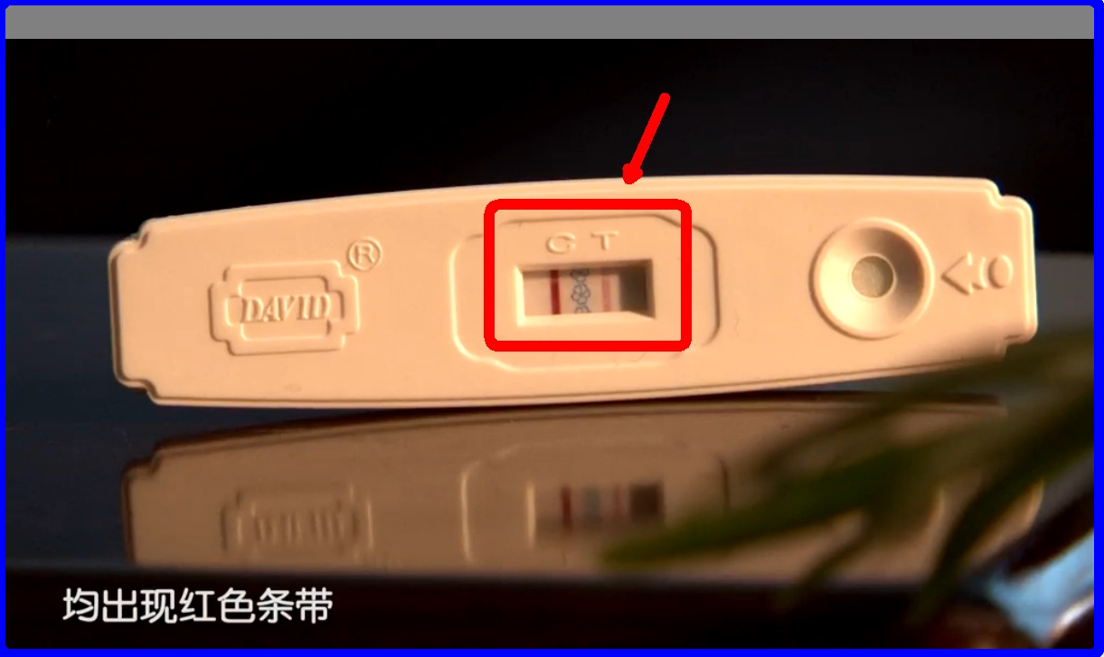 c一条杠t没有杠-c一道杠表示什么意思