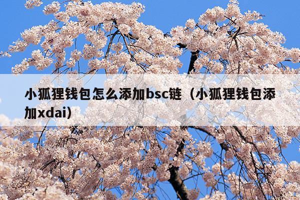 小狐狸钱包助记词导入-小狐狸钱包私钥和助记词作用