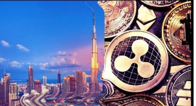 元宇宙总部在哪里-元宇宙哪家公司最好