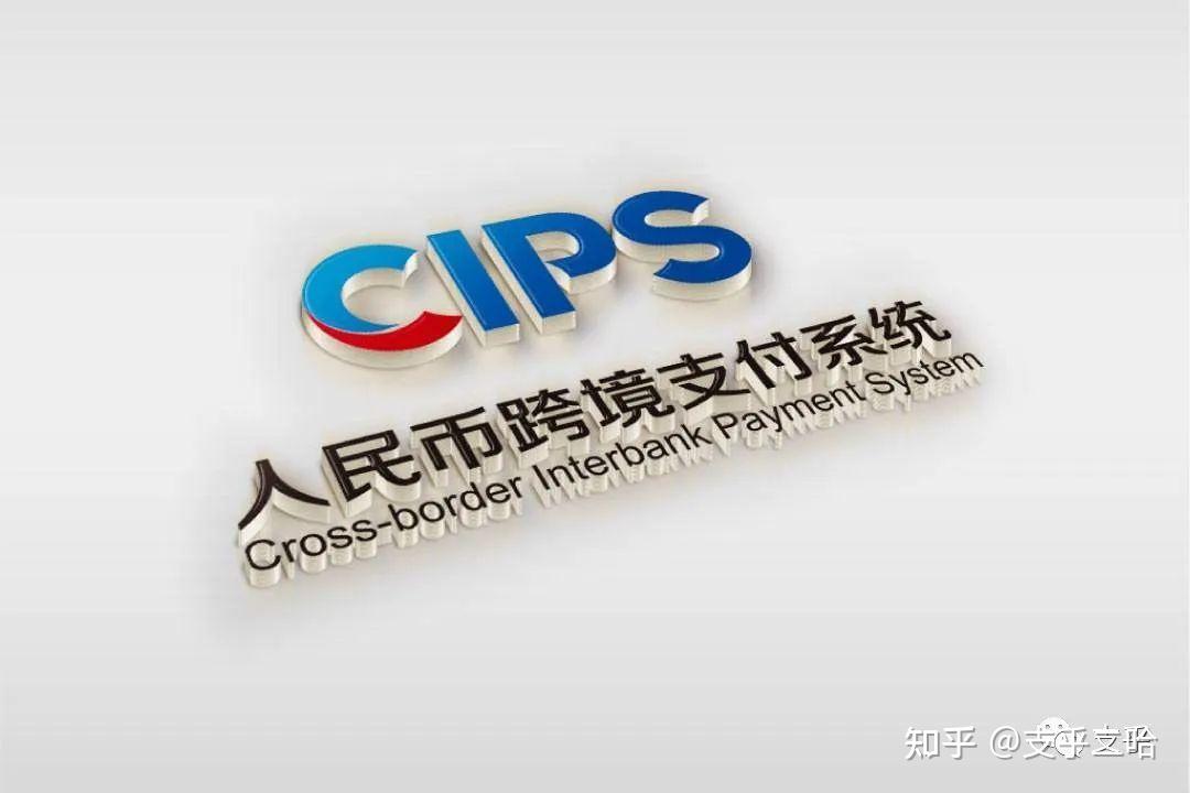 境内外币支付系统支持几个币种-境内外币支付系统支持哪八个币种的支付业务结算
