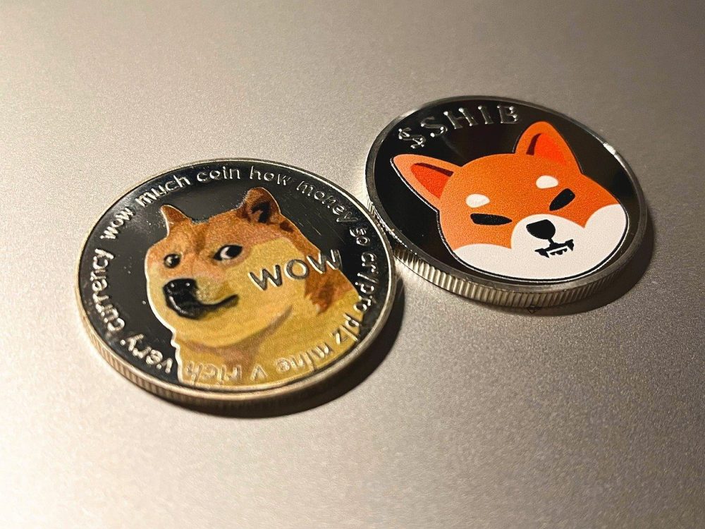 doge币-doge币最高什么价格