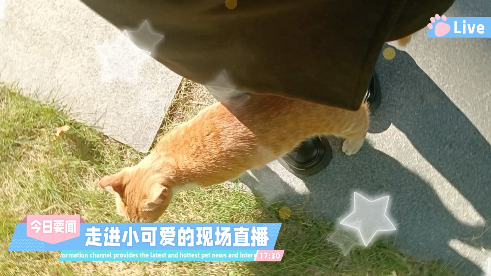 猫咪社区官网址一-猫咪社区官网杀毒系统
