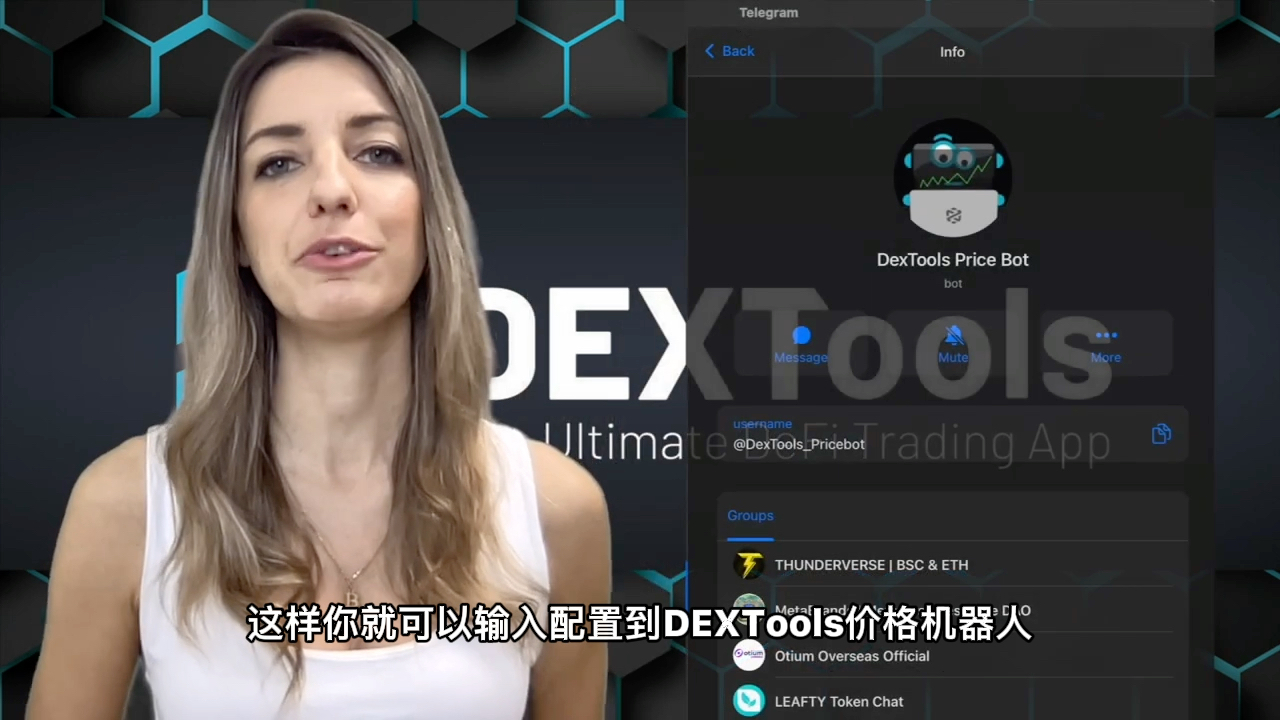 关于Telegram机器人登陆令牌的信息