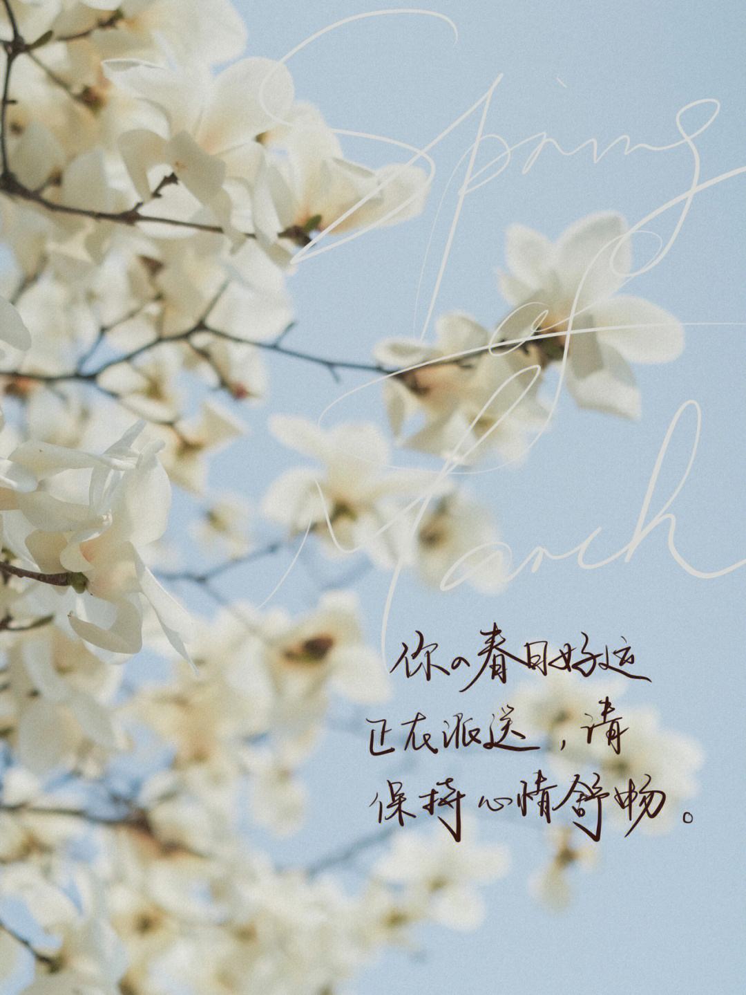 ipad纸飞机闪退-纸飞机登录界面一直连接中