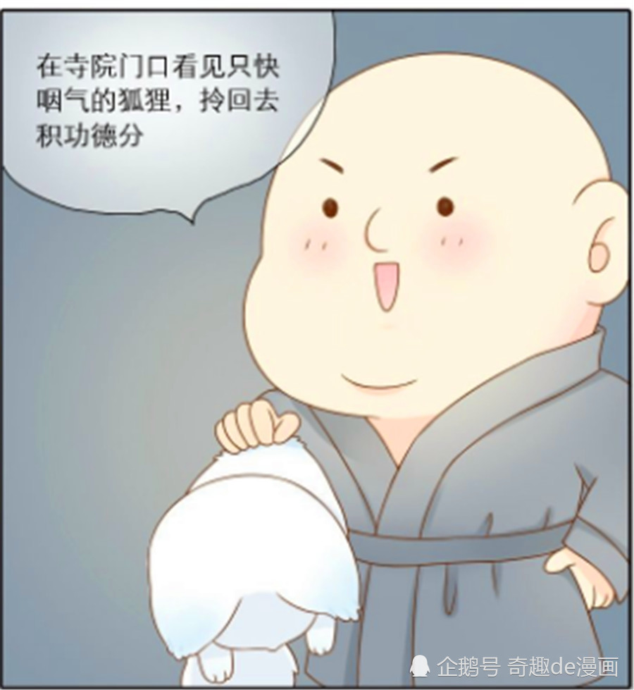狐狸被抓走-狐狸抓走了小兔 熊救小兔 题目怎么写
