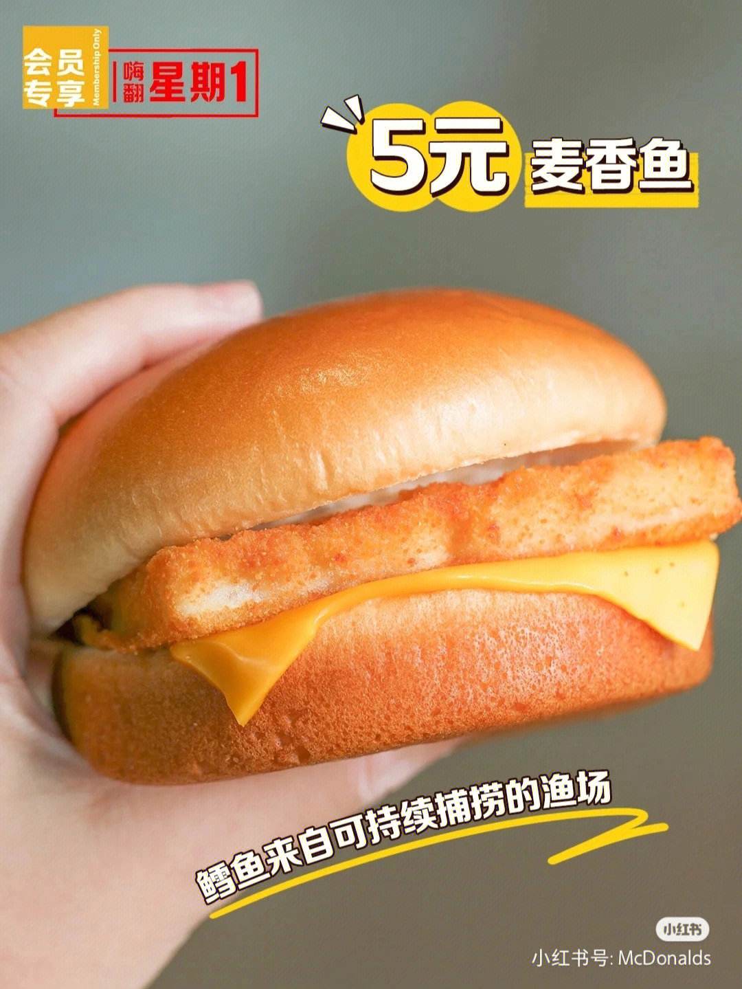 小狐狸钱包中文版320