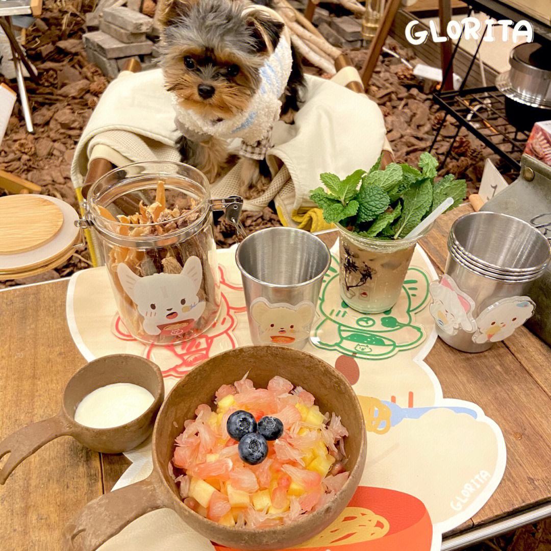mealtimes怎么读
