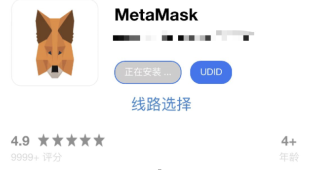 小狐狸钱包登录不了怎么回事,小狐狸钱包登录不了怎么回事儿
