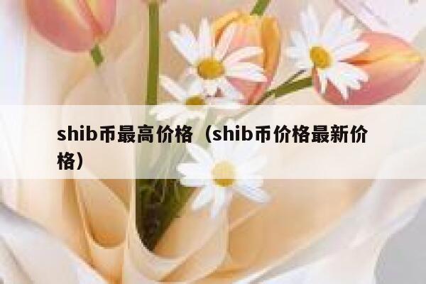 数字币shib,数字币是比特币吗